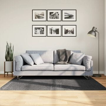 Vidaxl vidaXL Preproga IZA, nizek las, antracit, 120x170 cm