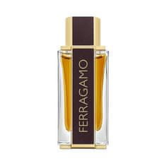 Salvatore Ferragamo Ferragamo Spicy Leather 100 ml parfum za moške