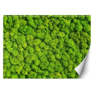 shumee Stenska poslikava, Moss moss - 100x70