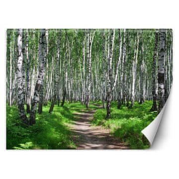 shumee Stenska poslikava, Brezov gozd - 150x105