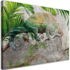 shumee Slika na platnu, Kameleon na veji v džungli - 60x40