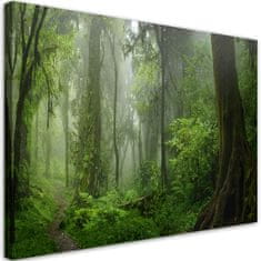 shumee Slika na platnu, Tropski pragozd - 60x40