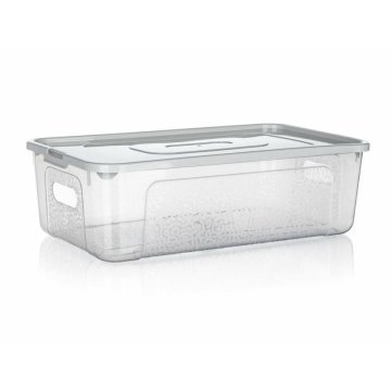 Škatla za shranjevanje MULTIBOX 34x20x10cm 5L prozorna