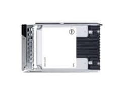 DELL 960 GB SAS SSD ISE RI 12 Gb/s 512e 2,5in Hot-Plug 1 DWPD CUS Kit