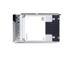 DELL 960 GB SAS SSD ISE RI 12 Gb/s 512e 2,5in Hot-Plug 1 DWPD CUS Kit