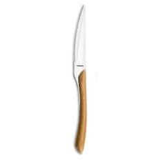 NEW Namizni nož Amefa Eclat 23 cm Kovina Dvobarvna (Pack 6x)