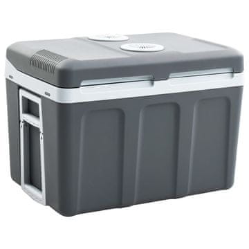 Vidaxl Prenosna termoelektrična hladilna torba 40 L 12 V 230 V A++