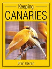 Keeping Canaries