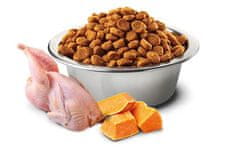 Farmina farmina pet food pumpkin feline adult 1.5kg suha hrana za mačke piščanec