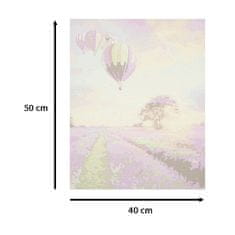 WOWO Slikanje po številkah - Slikanje po številkah - Polje sivke 50x40cm