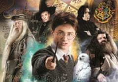 Clementoni Puzzle Harry Potter: Učitelji 1000 kosov