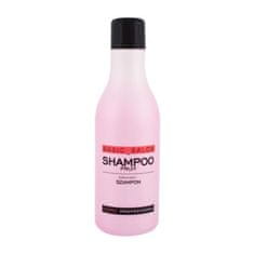 Stapiz Basic Salon Fruit 1000 ml šampon poškodovani lasje suhi lasje vse vrste las za ženske