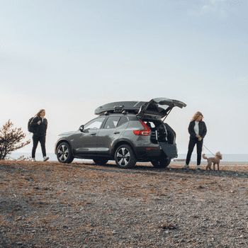  Thule Allax potovalna kletka za pse, L Compact  