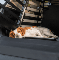 Thule podloga za pasji zaboj, široka