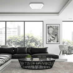 Milagro Plafonjera QUADRO WHITE 38W, Milagro