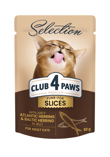 Club4Paws Premium Mokra hrana za mačke - Sled in papalina v želeju 12x80g