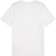 Puma Majice bela XXL Team Goal