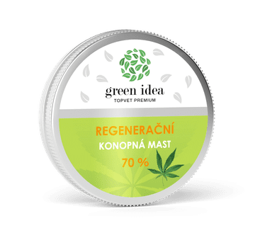 GREEN IDEA Konopljino regeneracijsko mazilo 70 % 100 ml
