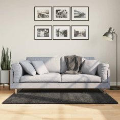 Vidaxl Košata preproga PAMPLONA moderna antracit 80x150 cm