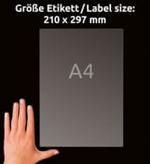 Avery Zweckform transparentne mat etikete J8567-25, 210 x 297 mm, za inkjet tiskalnike, A4, prozorne