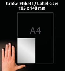 Avery Zweckform zelo odporne etikete L6134-20, 105 x 148 mm, srebrne etikete iz metaliziranega poliestra, A4, za tiskanje