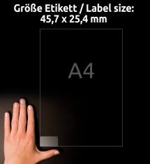 Avery Zweckform transparentne etikete s svetlečim premazom L7781-25, 45.7 x 25.4 mm, A4, za tiskalnik