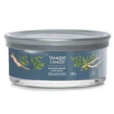 Yankee Candle Svíčka ve skleněném válci , Pobřežní cedr, 340 g