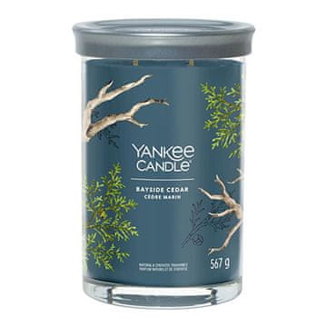 Yankee Candle Svíčka ve skleněném válci , Pobřežní cedr, 567 g
