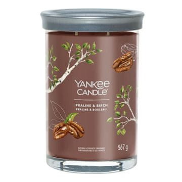 Yankee Candle Svíčka Tumbler velká, Praline & Birch, Pralinka a bříza, 567 g