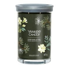 Yankee Candle Svíčka ve skleněném válci , Stříbrná šalvěj a borovice, 567 g