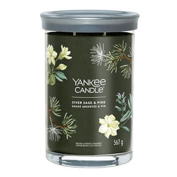 Yankee Candle Svíčka Tumbler velká, Siver Sage & Pine, Stříbrná šalvěj a borovice, 567 g