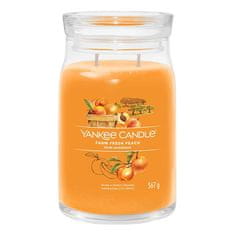 Yankee Candle Svíčka ve skleněné dóze , Čerstvá farmářská broskev, 567 g