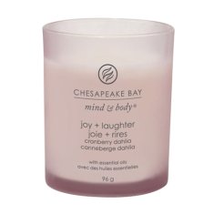 Sada svíček Chesapeake Bay Candle Tumbler 3x malá, 3 x 96 g