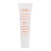 Lip Scrub Sunny Mango sladkorni piling za ustnice z vonjem manga 12 ml za ženske