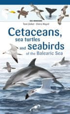 CETACEANS SEA TURTLES AND SEABIRDS ON THE BALEARIC SEA