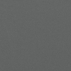Greatstore Zložljiva stranska tenda antracitna 200x600 cm