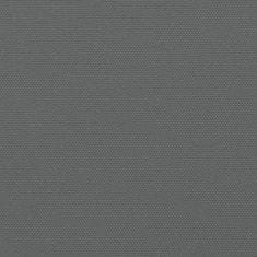 Greatstore Zložljiva stranska tenda antracitna 180x300 cm