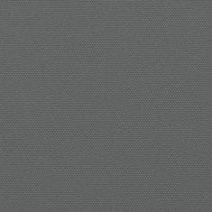 Greatstore Zložljiva stranska tenda antracitna 220x300 cm