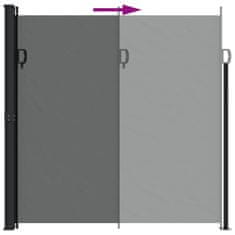 Greatstore Zložljiva stranska tenda antracitna 200x600 cm