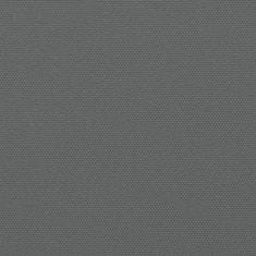 Greatstore Zložljiva stranska tenda antracitna 200x300 cm
