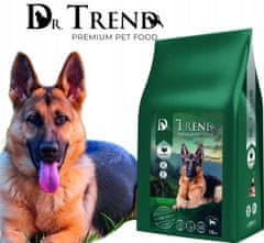 Dr.Trend ACTIVE suha hrana za pse s puranom 15 kg