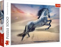Trefl Puzzle Majestic horse 1000 kosov