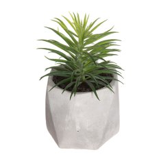 Atmosphera Okrasna rastlina Atmosphera 7 x 14 cm zelena PVC