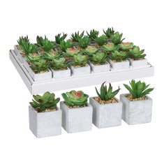 Mica Decorations Okrasne rastlinske dekoracije iz sljude 8 x 5 cm Zelena PVC sukulenta