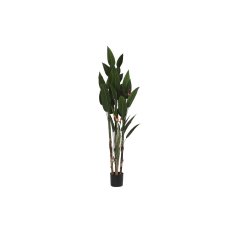 DKD Home Decor Dekorativna rastlina DKD Home Decor (90 x 90 x 200 cm)