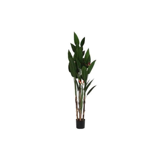 DKD Home Decor Dekorativna rastlina DKD Home Decor (90 x 90 x 200 cm)