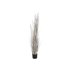 DKD Home Decor Dekorativna rastlina DKD Home Decor Rushes (45 x 45 x 150 cm)