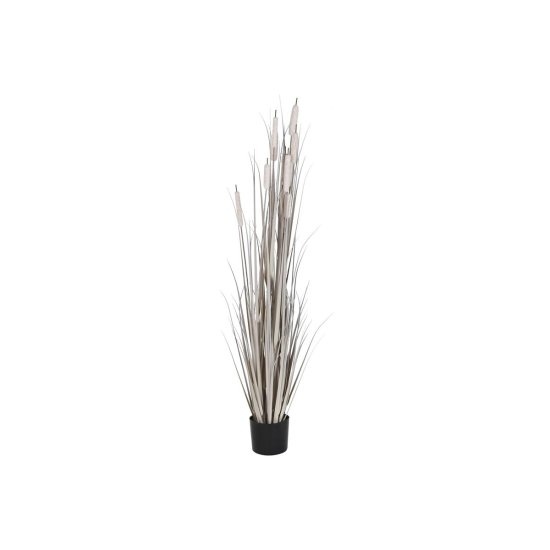 DKD Home Decor Dekorativna rastlina DKD Home Decor Rushes (45 x 45 x 150 cm)