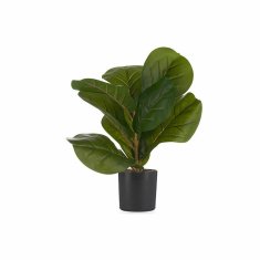 DKD Home Decor Dekorativna rastlina 9,5 x 42 x 9,5 cm Plastika 6 enot
