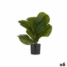 DKD Home Decor Dekorativna rastlina 9,5 x 42 x 9,5 cm Plastika 6 enot